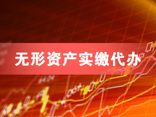 山南无形资产实缴资本代办