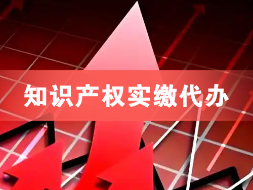 山南知识产权实缴资本代办